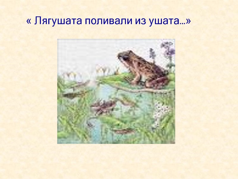 « Лягушата поливали из ушата…»